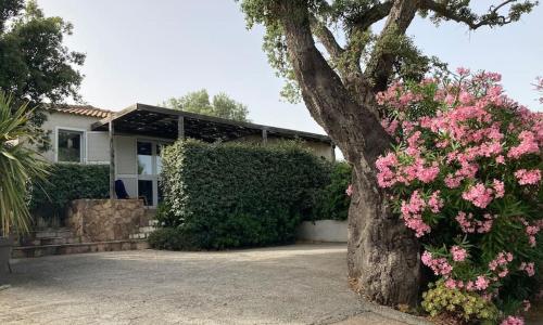 Maison à 2min à pied du centre de porto vecchio