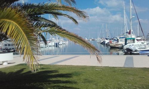 Appartement P2 Le Californie Grau du Roi