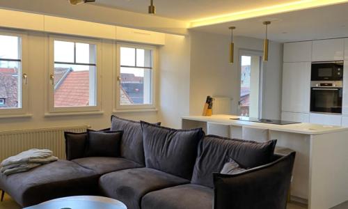 Le Beffroi Duplex centre ville, parking privé