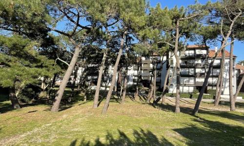 Ref 550 Seignosse Océan, joli Studio rénové de 21m pour 2 personnes proche plage et centre