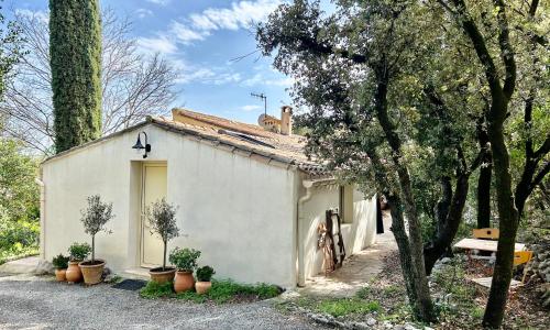 Joli studio Les Hibiscus du Pic Saint Loup