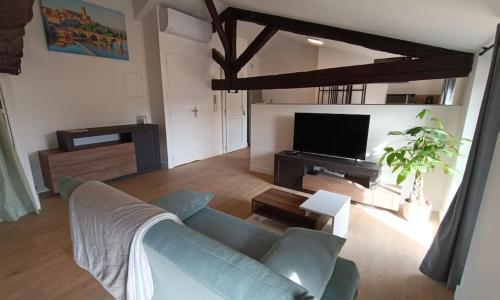 Appartement centre Albi