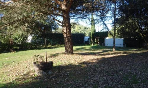 Ocean, forest, surf and garden at Vert-Bois