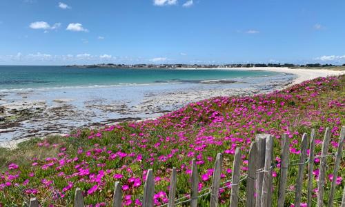 La Maison Des Sables Blancs