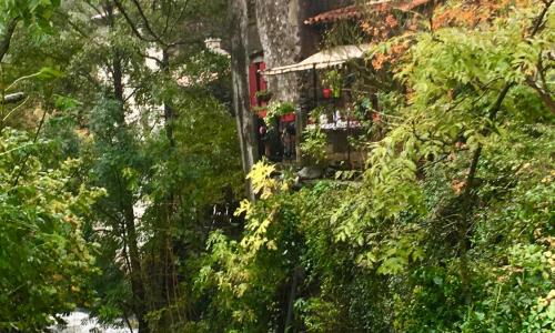 Grande maison cévenole authentique