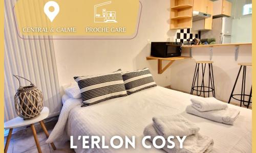 L'Erlon Cosy : hyper centre - proximité gare