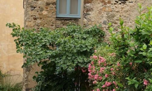 Une tiny house dans le coeur d'un ancien village.