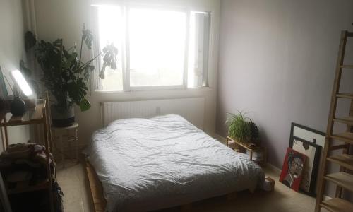 Deluxe Room photo