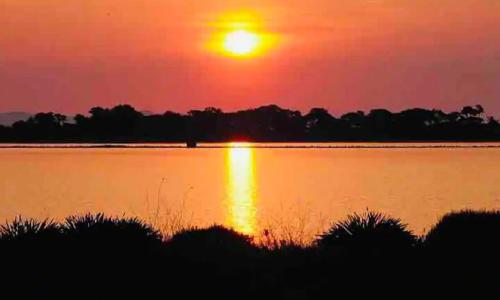 Les flamants Roses la Capte • Hyères / 4pers