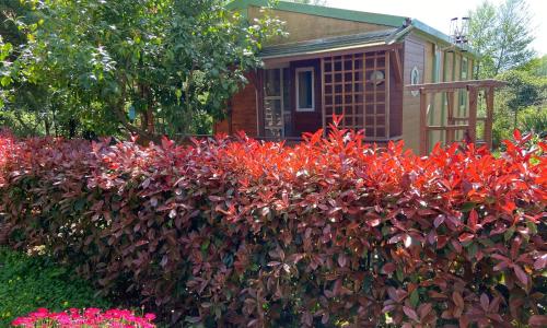 Beach house à Marina di Sorbo …Corse