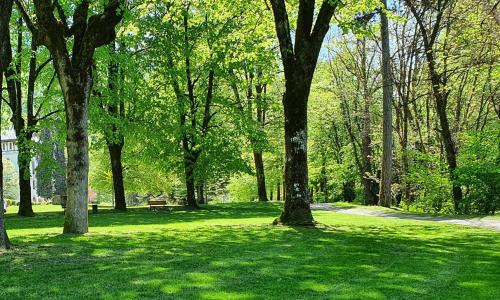 Appartement Parc