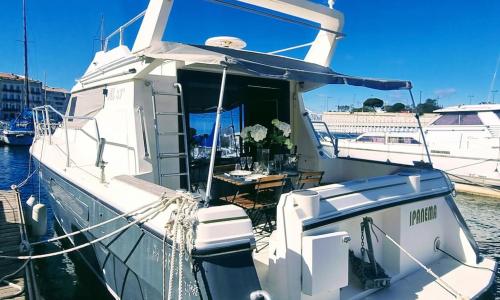 Séjour Original 2 chambres sur Bateau à Quai central, climatisation parking privé