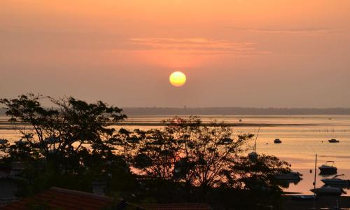 Villa Lège-Cap-Ferret, 8 pièces, 12 personnes - FR-1-736-23