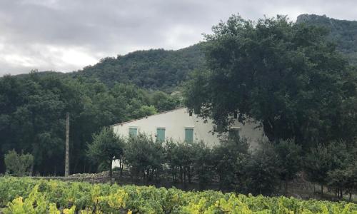 Vivez une expérience inoubliable en Catalogne