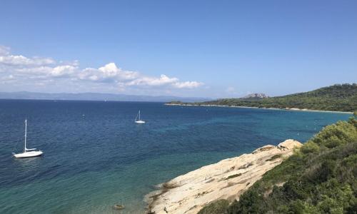 Studio Hyères, 1 pièce, 2 personnes - FR-1-335-196