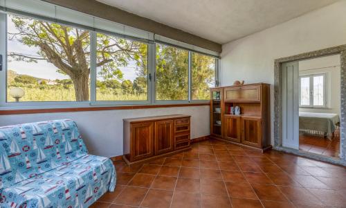 Casa La Chiocciolina - Goelba