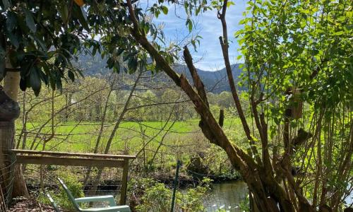 Côté Rive, au bord de la rivière La Moselotte et terrasse