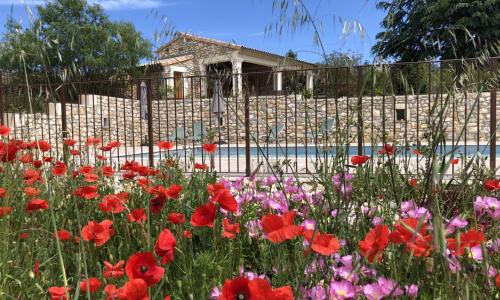 Chambre d'hôtes Bambou