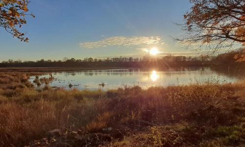Au coeur de La Dombes