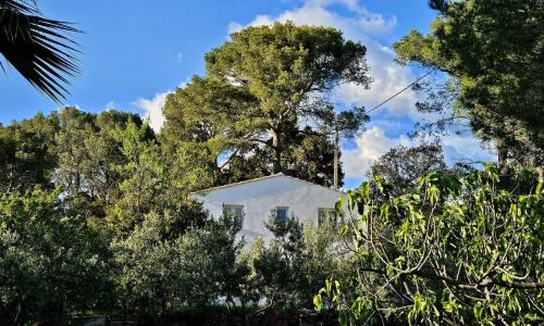 Bastidon indépendant