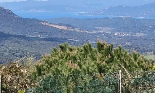 Sartène Appartement 3 pièces vue mer avec jardin