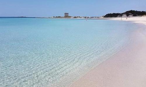 Risa Apulia