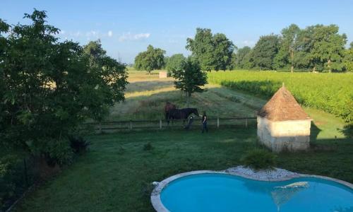 An authentic place of heaven near St Emilion