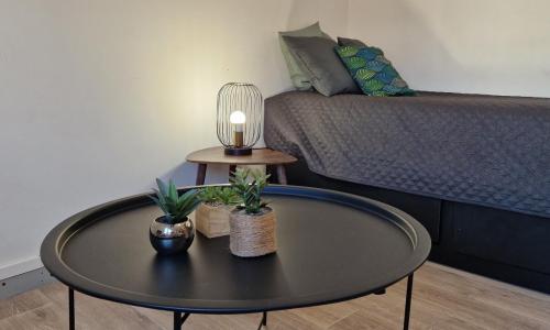 Le petit Jungle - hyper centre