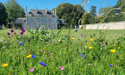 Chambres d'Hôtes Château de Martragny