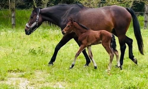 Appartement à la campagne