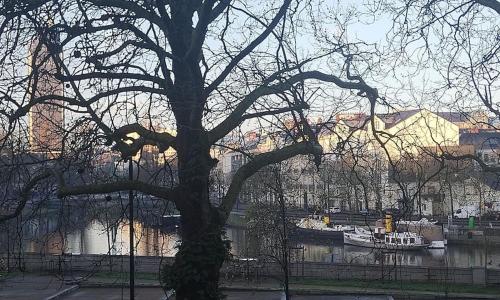 T2 lumineux meublé sur l'eau sans vis à vis