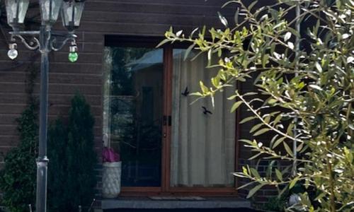 Baie de somme en liberté