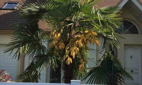 chambre avec entrée indépendante situation idéale