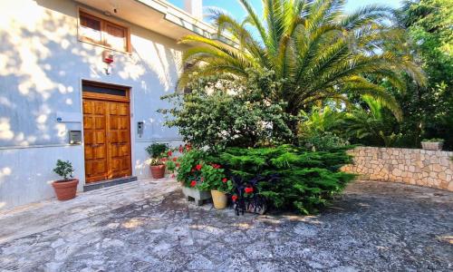 Private house in Locorotondo - Puglia - Italy