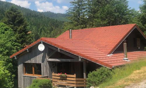 Gîte La Bresse, 5 pièces, 11 personnes - FR-1-589-86