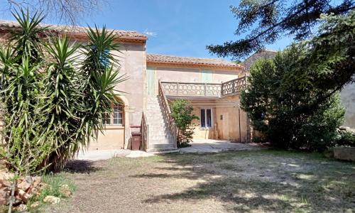 A Cèdre de mon enfance