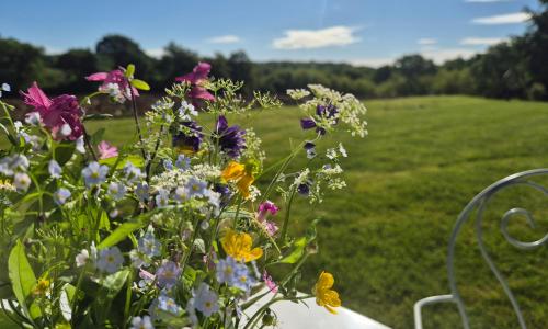 Maison d'Hôtes Léchémia