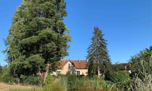 Maison lumineuse et rénovée au cœur du Perche