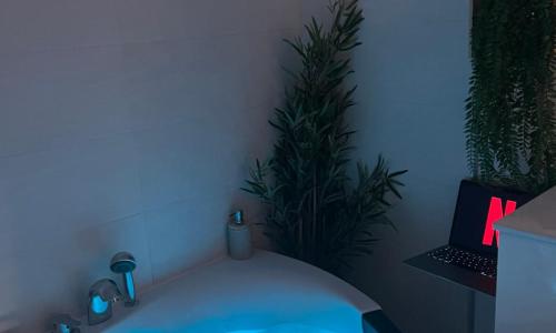 Le Somptueux, Cosy / Balnéo