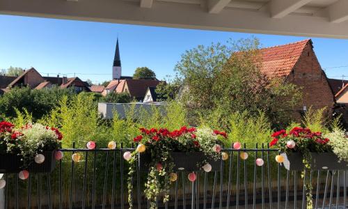 Maison d hotes Coeur de Village Alsace & spa