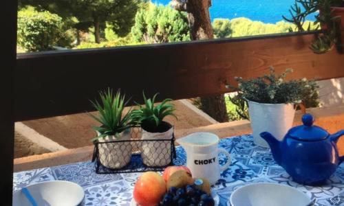 T2 vue Mer avec balcon, climatisé, piscine