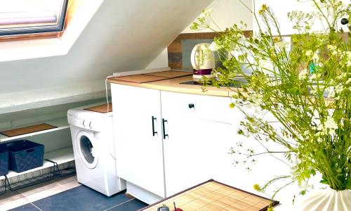 Sur les toits de Versailles