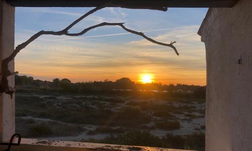 Appartement en Camargue