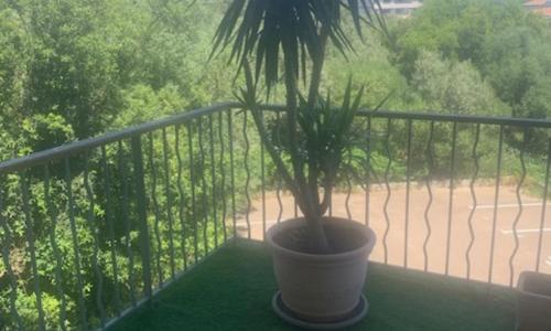 magnifique appartement vue sur la mer