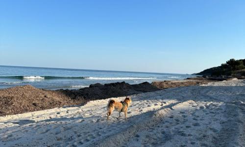 Plage des Salins Parc des Salins St Tropez