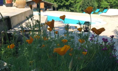 Chez Christine et Vincent