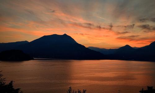 Ortensia Lake Como - perfect for couple and pets