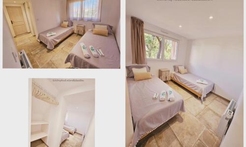 Deluxe Room photo