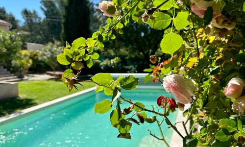 Villa les Lauriers Roses