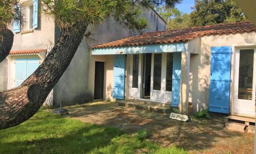 Entre les pins et l'océan